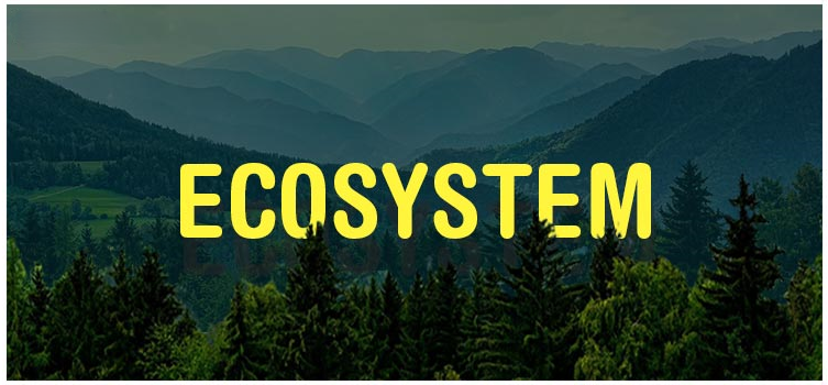Ecosystem
