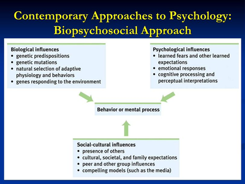 contemporary approaches