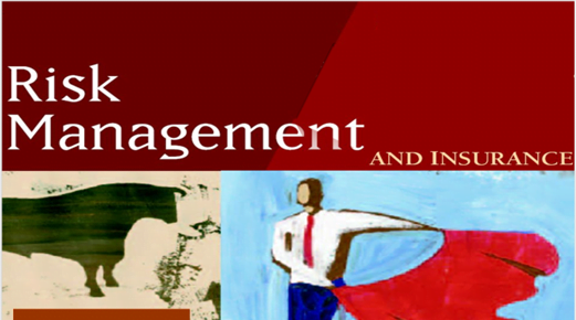 Definition of Risk Management