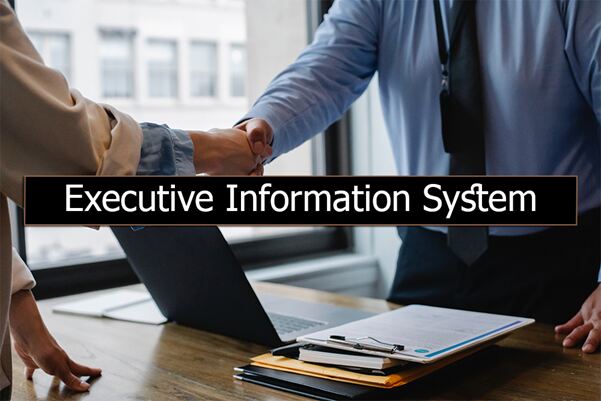 Definitions of Executive Information System