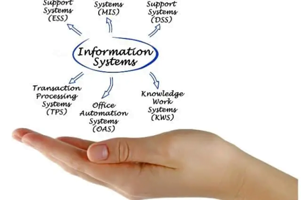 Understanding Information Systems