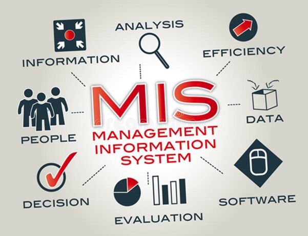 Understanding Management Information Systems