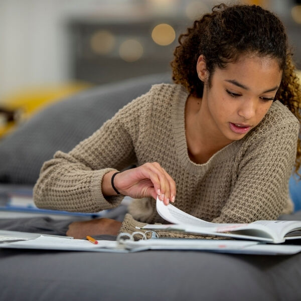 High-School-Student-Studying High-School-Student-Studying